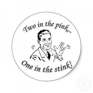 two_in_the_pink_one_in_the_stink_shocker_sticker-p217770691662093767envb3_400